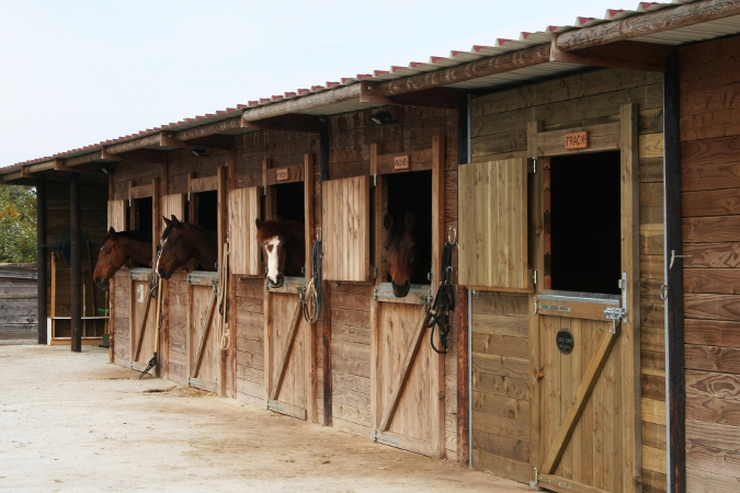 Ranch du pr des chnes - pension cheval / chevaux et laverie de ...
